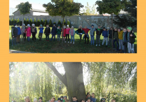Zdjęcie przedstawia uczniów klasy II a obok drzew rosnących wokół szkoły.